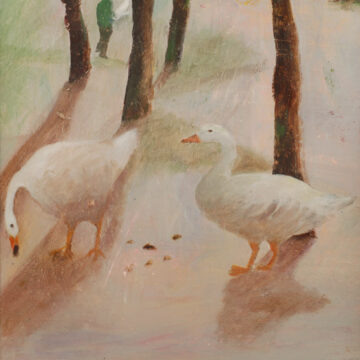 Tessa Newcomb