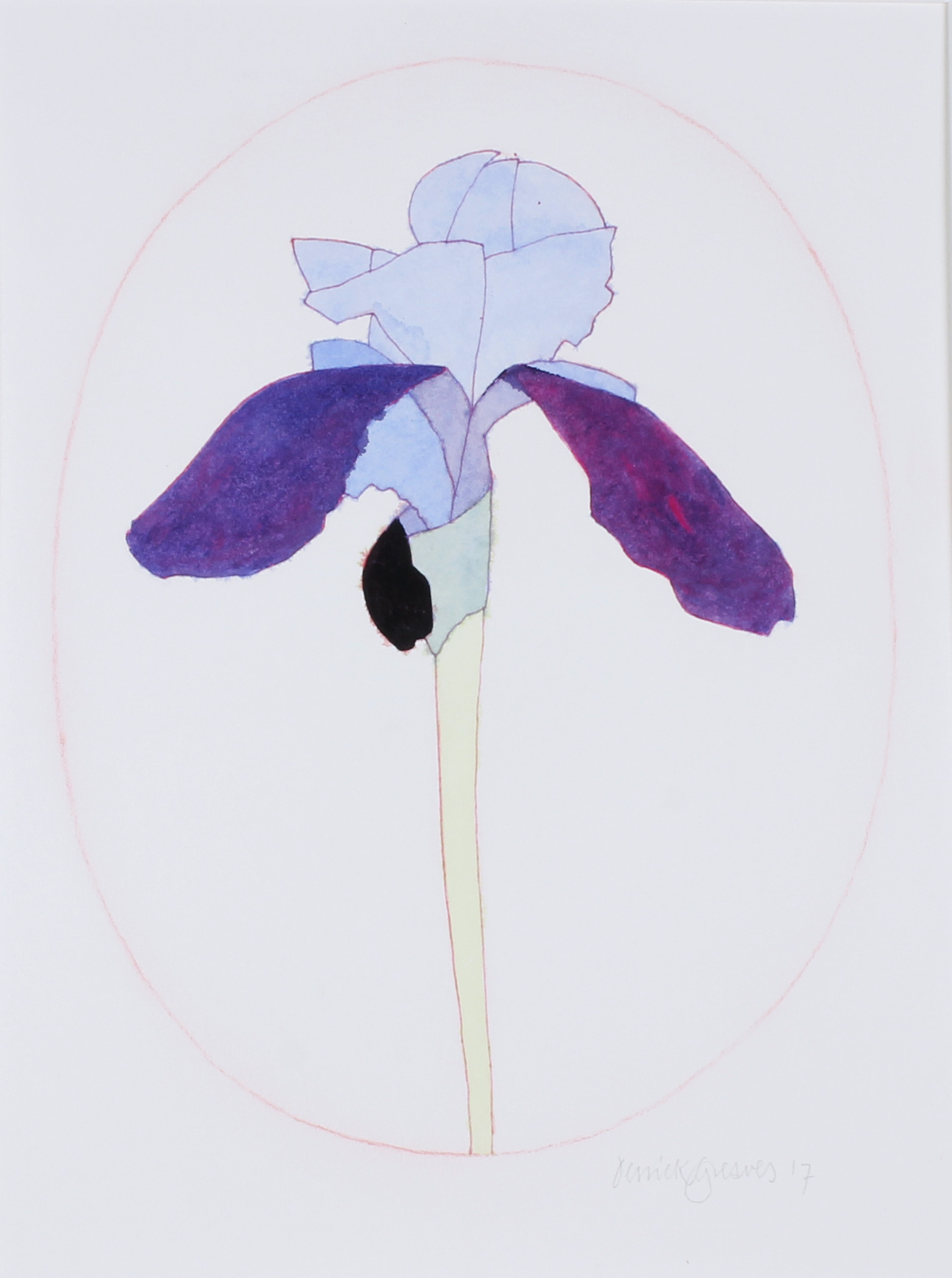 Derrick Greaves Work on Paper 3 (Iris in Oval I) Signed and Dated 17